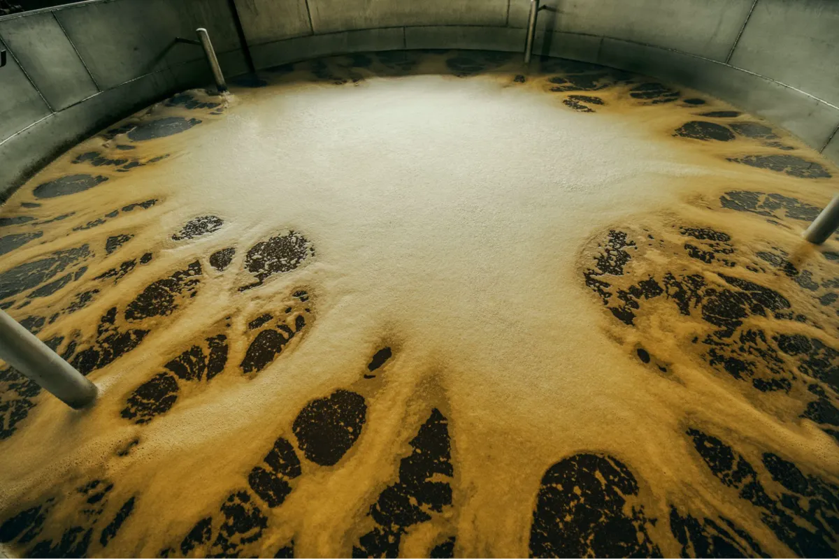 Fermentation at Diplomático