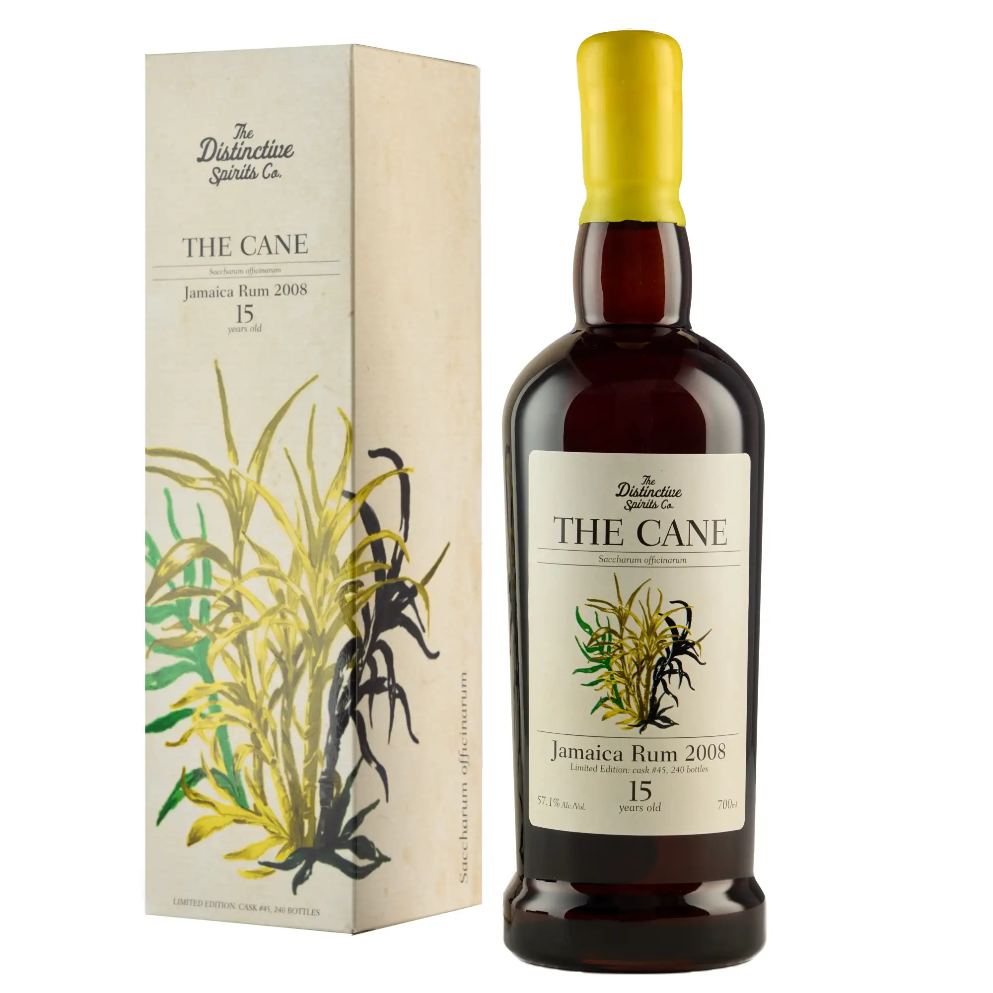 Image of the bottle indexed by the search page.